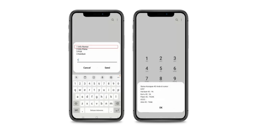 Pada tahap ini, pilih 1 (Cek Profile) Terakhir, pilih 1 (Info Nomor). Nomor XL kamu akan tampil